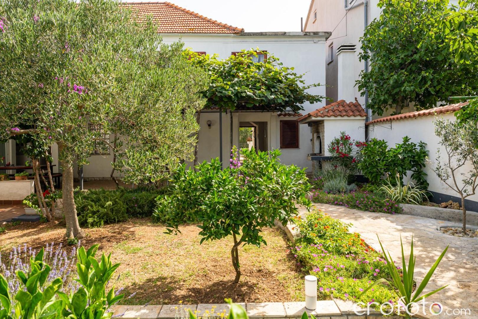 Vinka Daire Biograd Na Moru Dış mekan fotoğraf